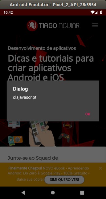 webviewjs